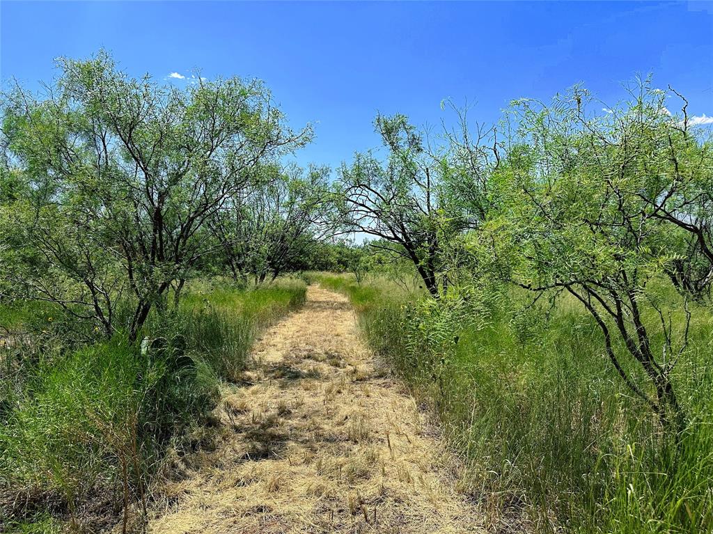 12415 County Road 356 Anson, TX 79501 - Photo 30 of 36 a view of lake with green space