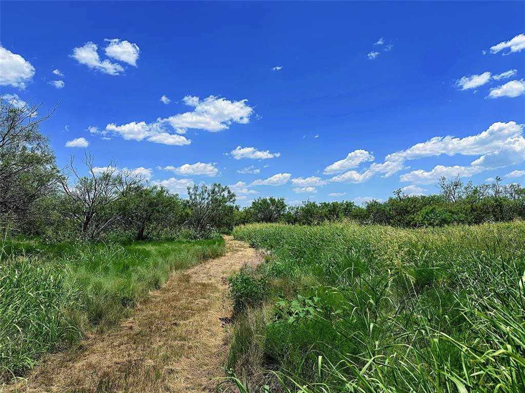 12415 County Road 356 Anson, TX 79501 - Photo 7 of 36 a view of a yard with lots of green space