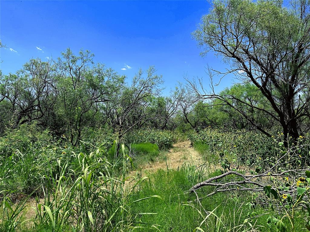 12415 County Road 356 Anson, TX 79501 - Photo 8 of 36