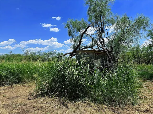 a view of backyard with green space