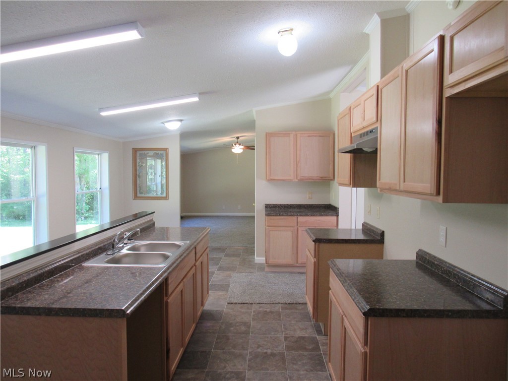 4517 Addison Road Geneva, OH 44041 - Photo 8 of 27