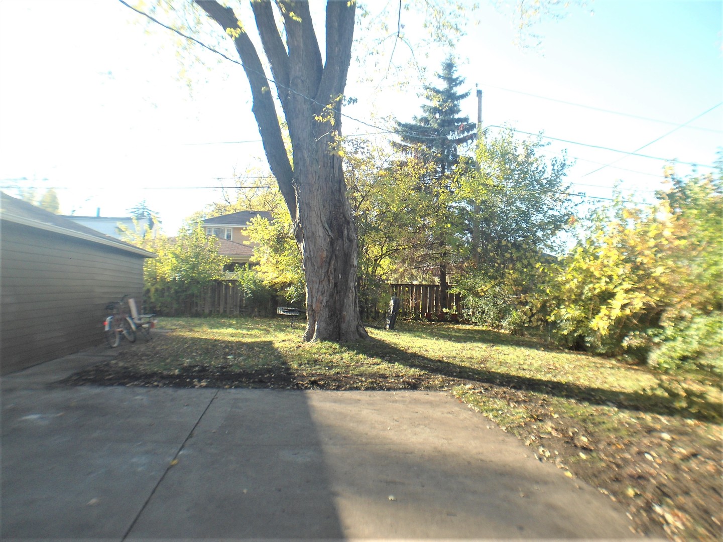 462 High Ridge Road Hillside, IL 60162 - Photo 5 of 20