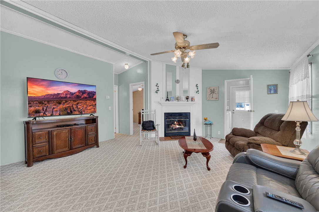 721 Cedar Crest Trail Walhalla, SC 29691 - Photo 23 of 47 A well-proportioned living area features a cozy fireplace and plush carpeting throughout.