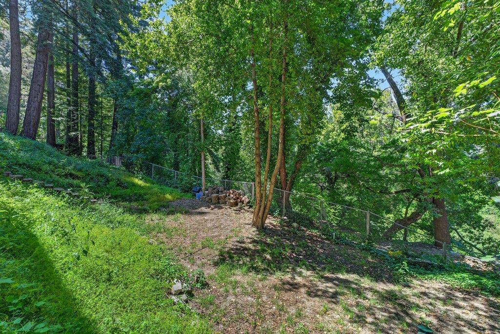 125 Shadowbrook Road Ben Lomond, CA 95005 - Photo 50 of 60 a big yard with lots of green space and deers