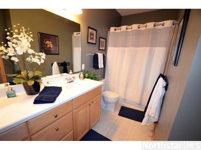 284 Spring Street, Unit 308 St. Paul, MN 55102 - Photo 13 of 18 Gallery Image 13