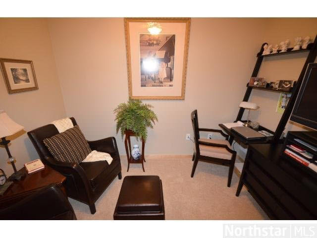 284 Spring Street, Unit 308 St. Paul, MN 55102 - Photo 8 of 18 Gallery Image 8