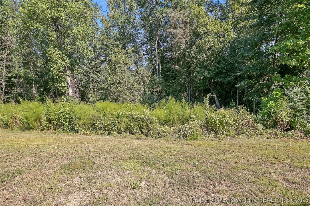 2911 Rockfish Road Raeford, NC 28376 - Photo 50 of 50