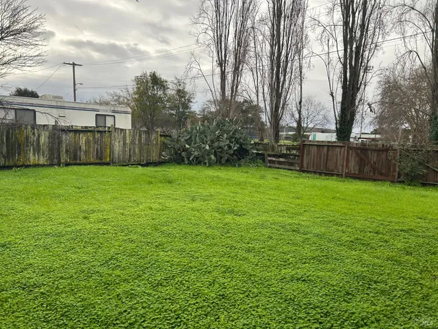 a view of a yard with large trees