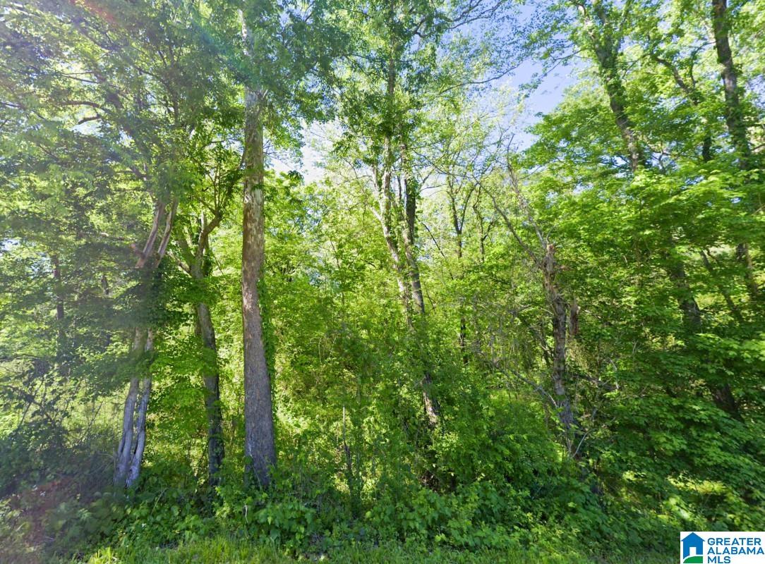 0 Glovers Ferry Road Alpine, AL 35014 - Photo 4 of 12