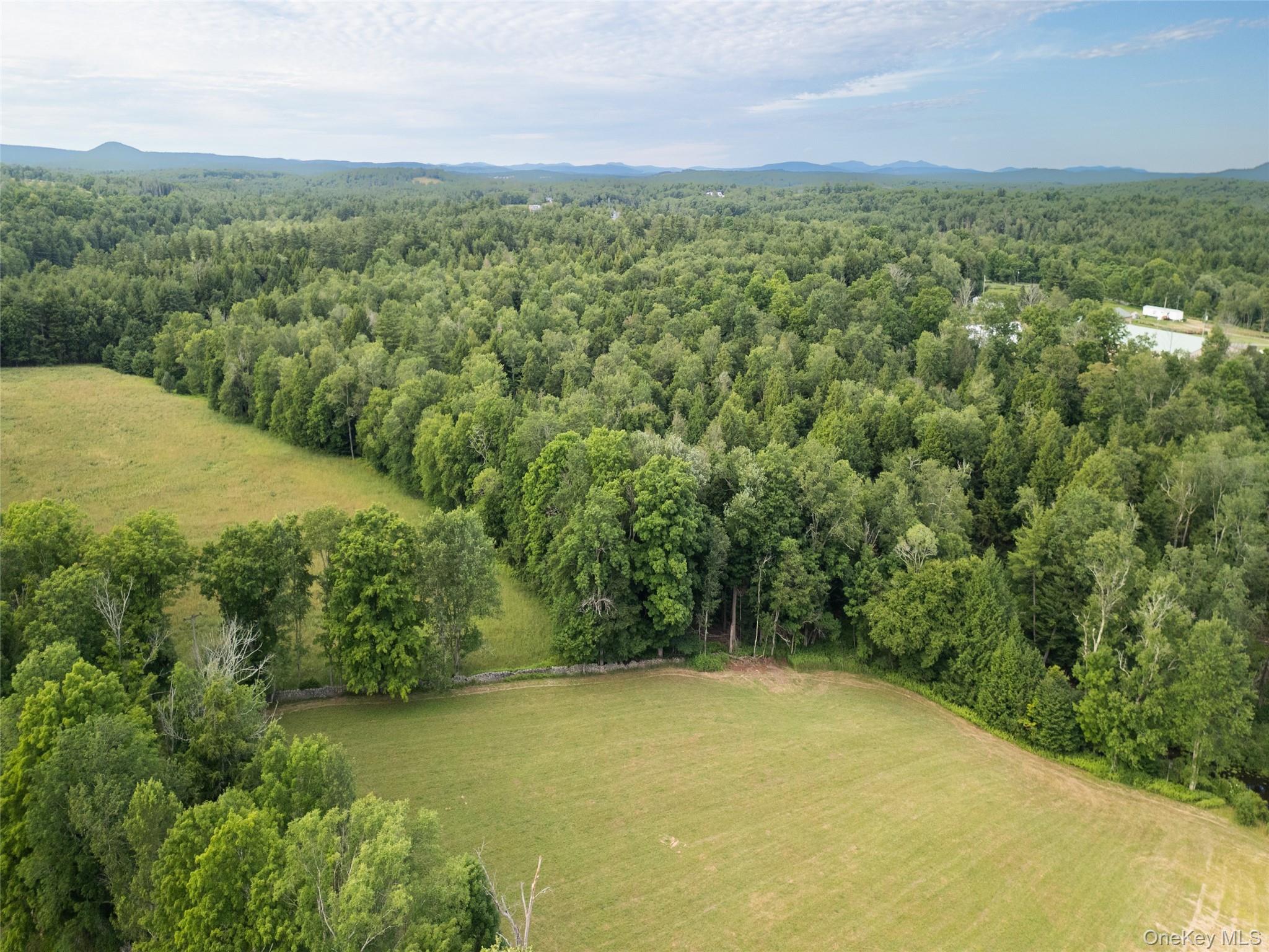 49 Crumley Van Vactor Road Ferndale, NY 12734 - Photo 49 of 50