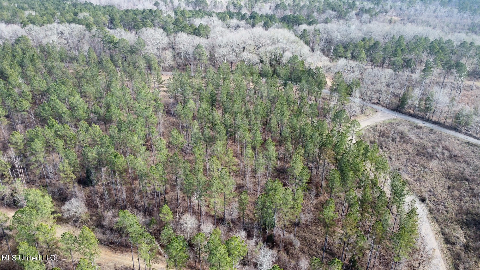 4 Prentiss Crump Road Utica, MS 39175 - Photo 16 of 28 602