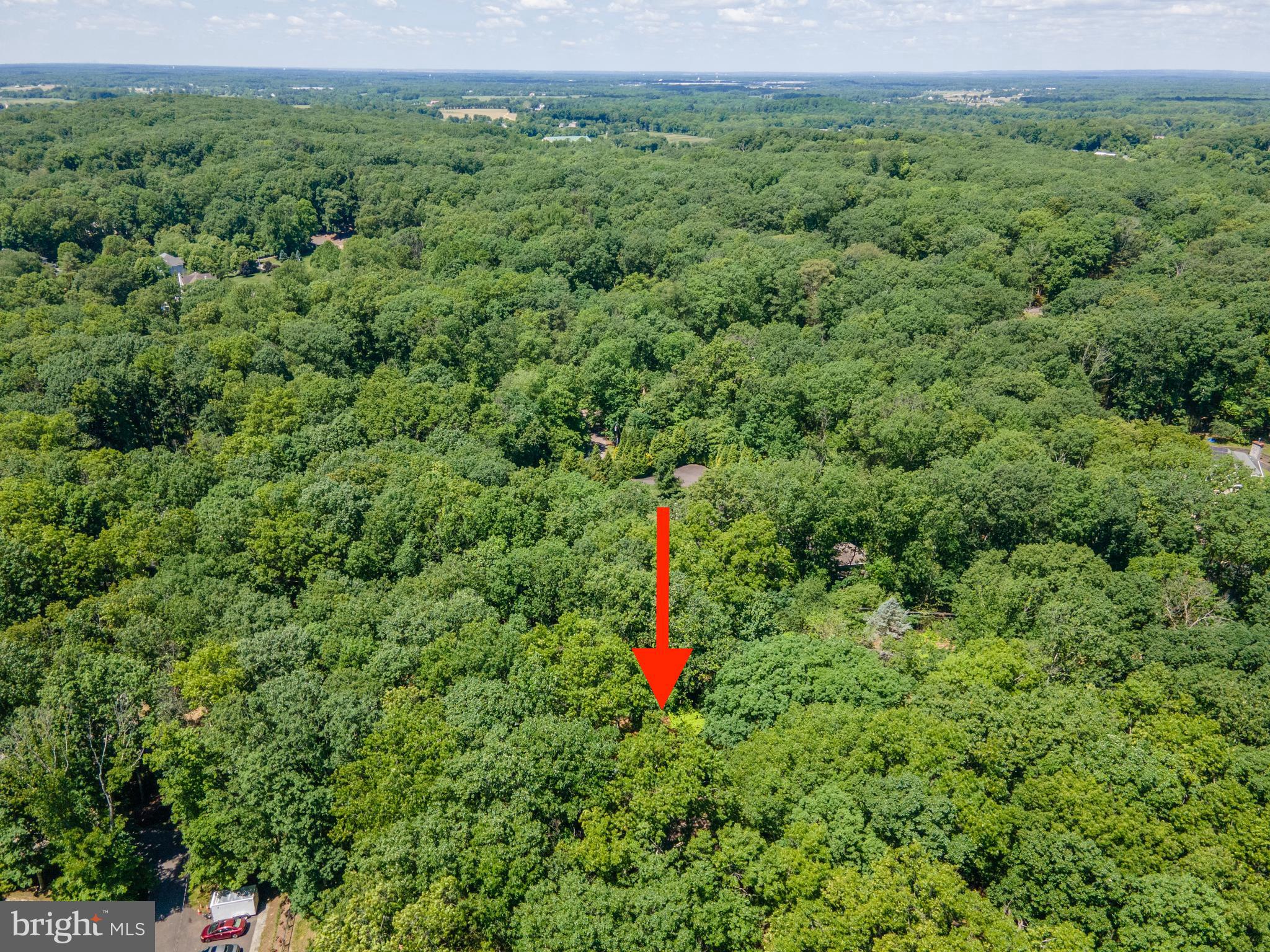 48 Chambers Road Cream Ridge, NJ 08514 - Photo 48 of 61