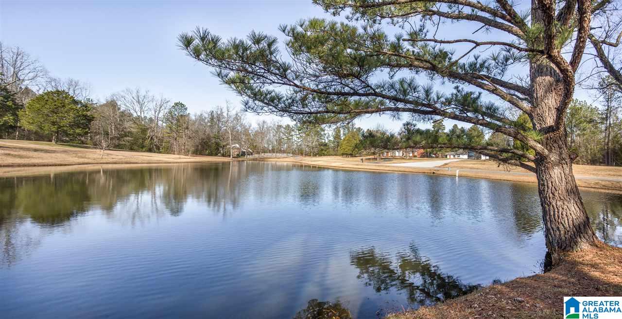 281 Hidden Hills Road Jacksonville, AL 36265 - Photo 48 of 50