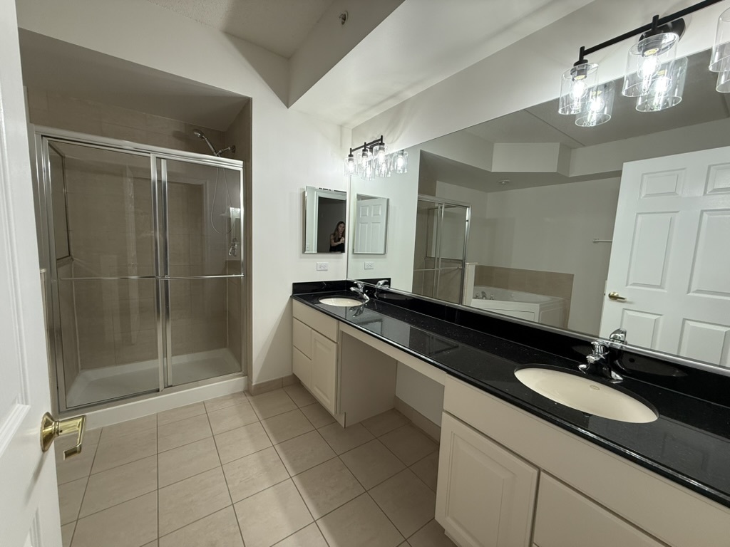 3401 North Carriageway Drive, Unit 307 Arlington Heights, IL 60004 - Photo 7 of 11 a bathroom with a granite countertop sink a mirror and a shower