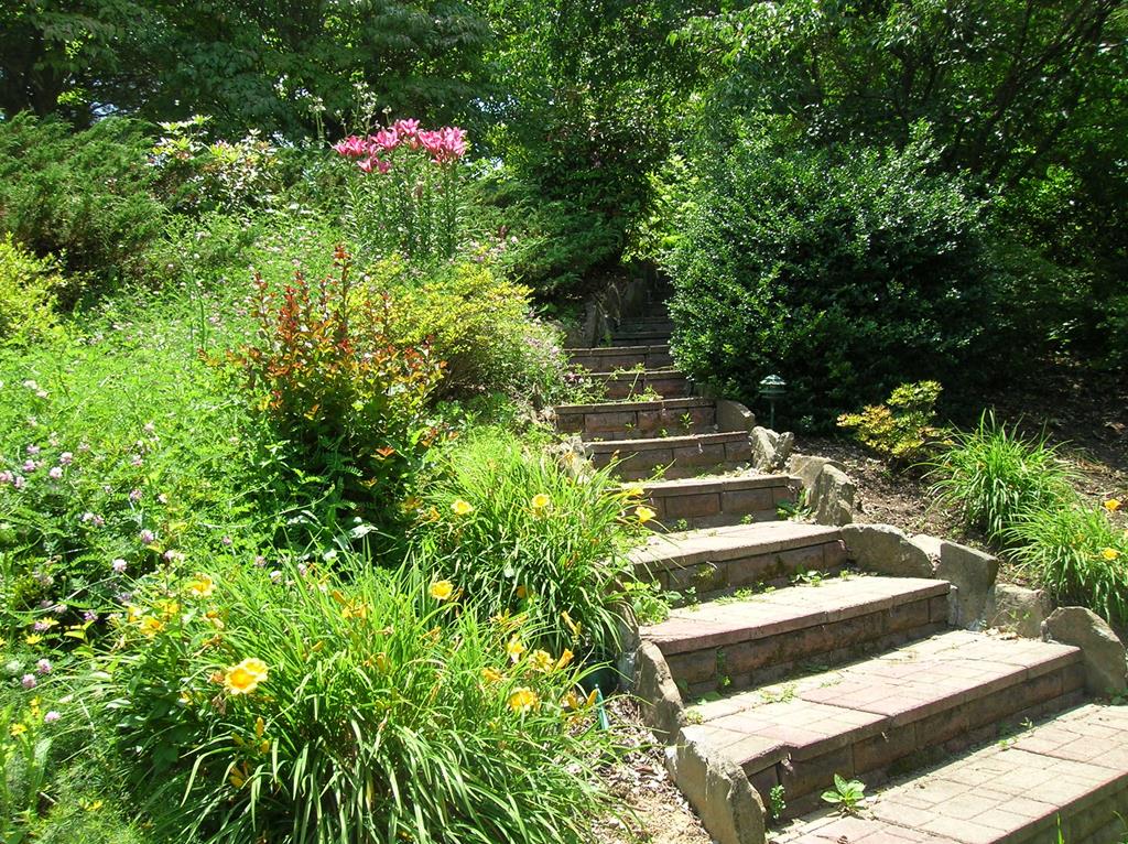 223 Parsonage Avenue Rural Retreat, VA 24368 - Photo 35 of 55 Gallery Image 35