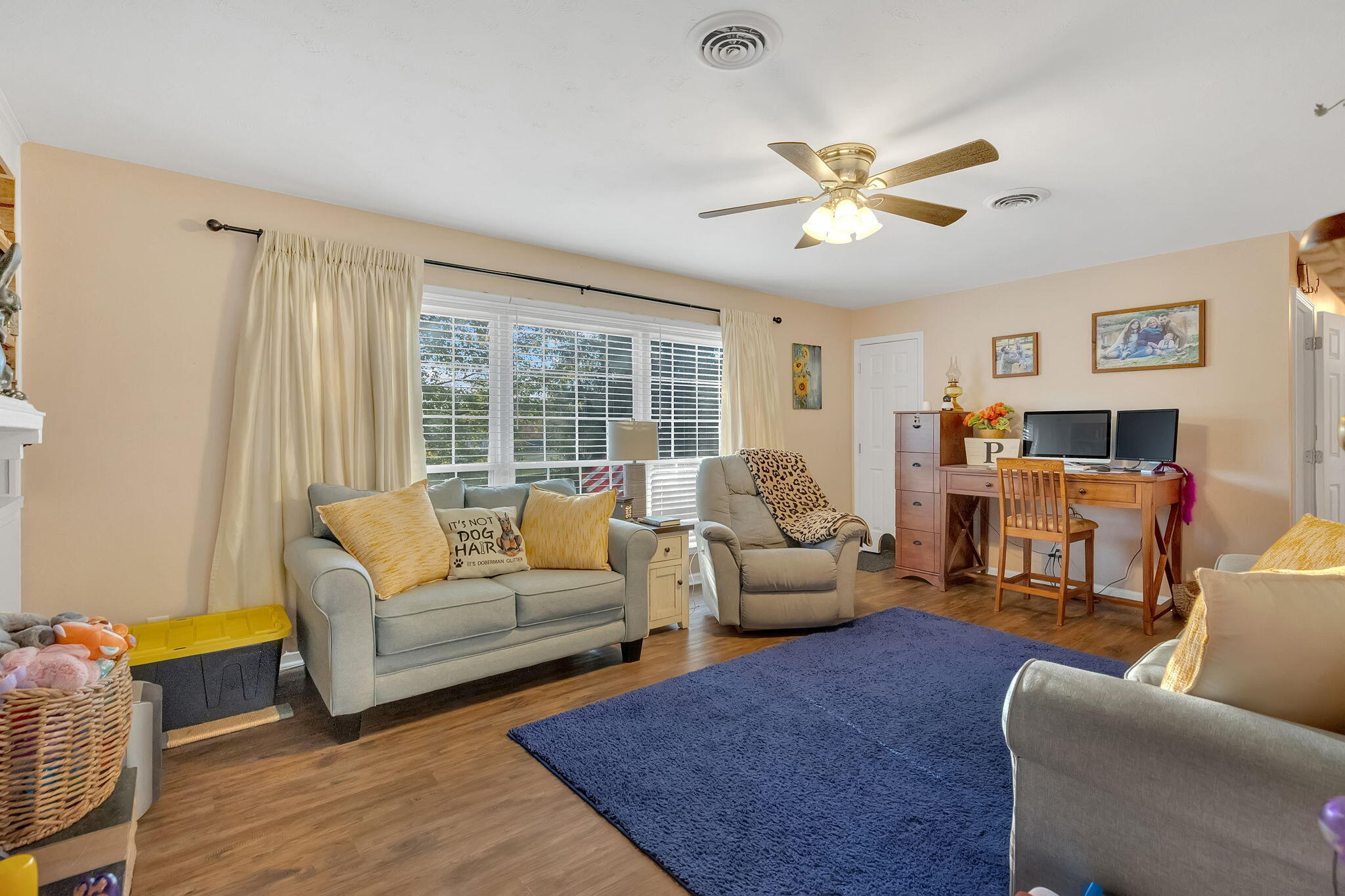 113 Lynfield Road Bristol, TN 37620 - Photo 20 of 27 8-web-or-mls-217A9008