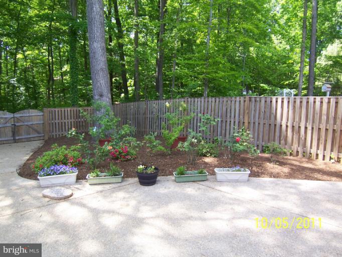 7812 Belleflower Drive Springfield, VA 22152 - Photo 2 of 28 Patio in back yard
