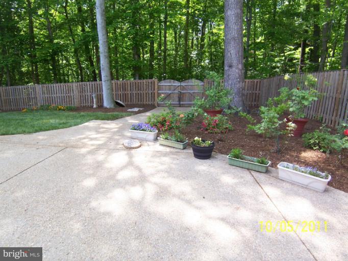 7812 Belleflower Drive Springfield, VA 22152 - Photo 28 of 28 Exterior (Rear)