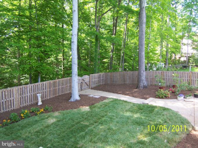 7812 Belleflower Drive Springfield, VA 22152 - Photo 8 of 28 Back yard