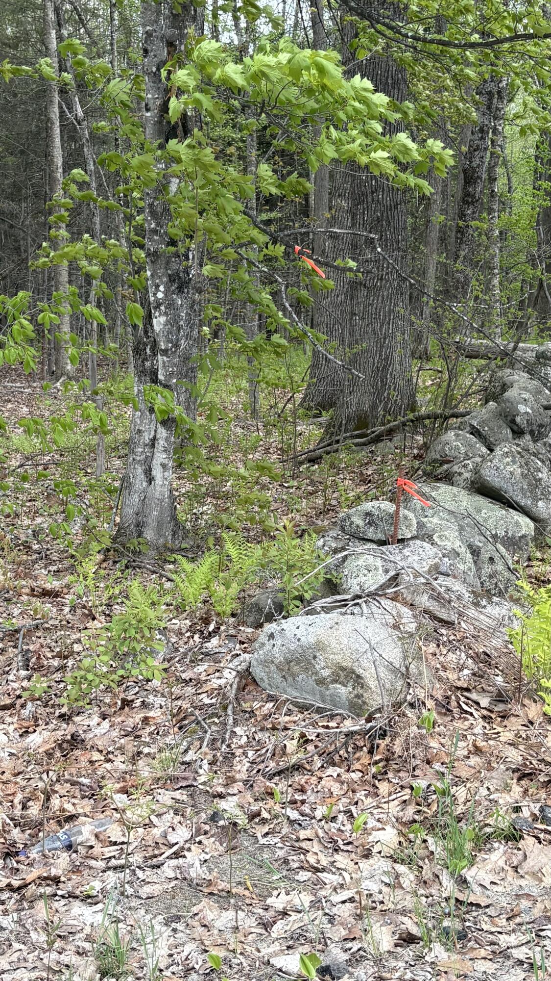 Lot #042 Tower Road, Unit M 005 L 042 Vienna, ME 04360 - Photo 6 of 12 IMG_9430