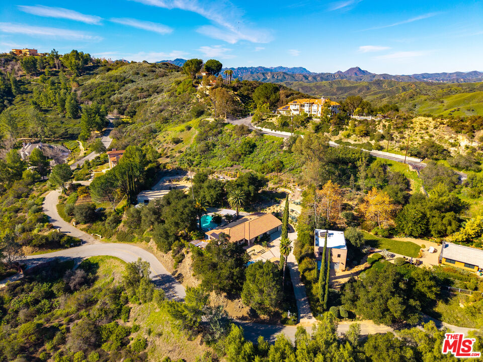 24537 Dry Canyon Cold Creek Road Calabasas, CA 91302 - Photo 31 of 34