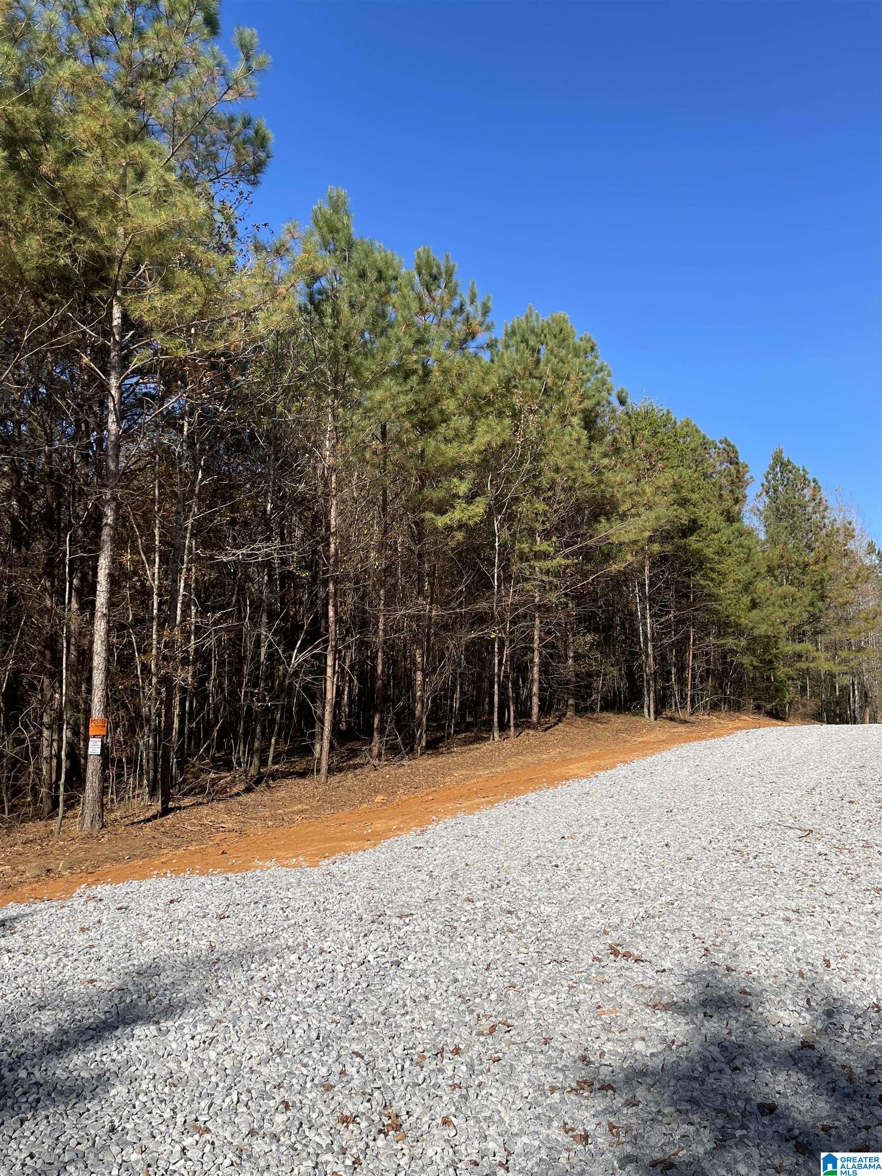 357 Ronbar Road, Unit 3 Columbiana, AL 35051 - Photo 4 of 6