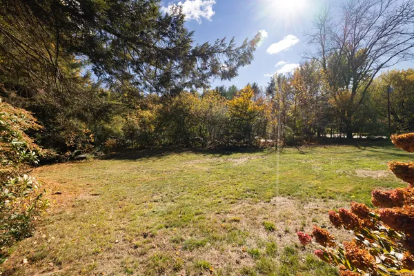 a view of outdoor space with trees all around
