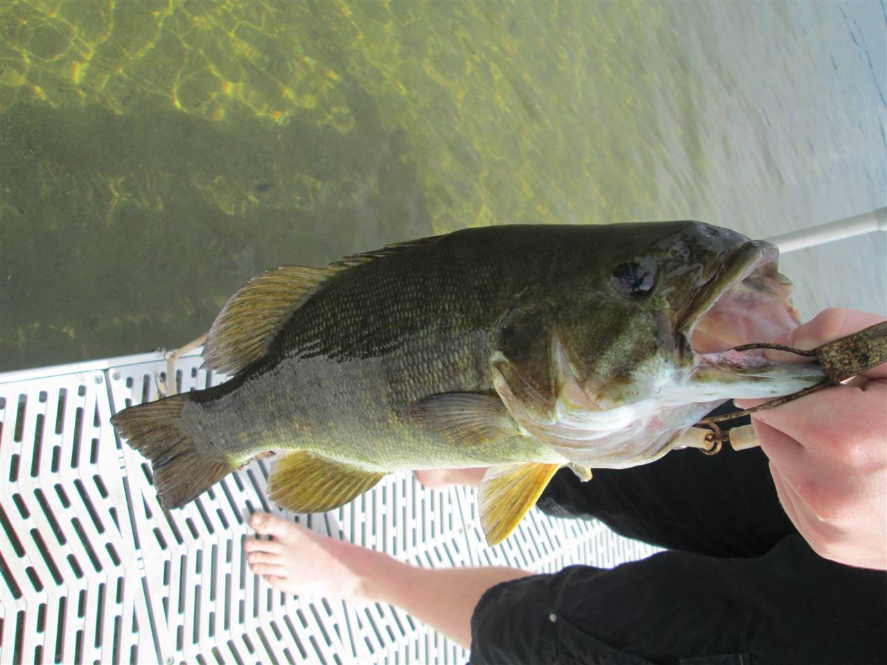 135 West Shore Road, Unit COTTAGE #3 Bristol, NH 03222 - Photo 20 of 30