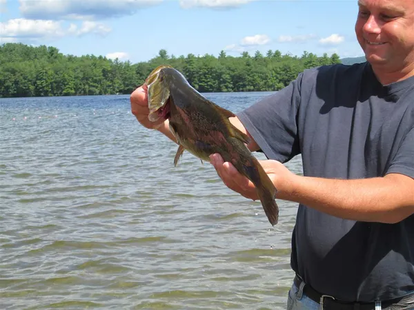 $1,999 | 135 West Shore Road, Unit COTTAGE #3, Bristol, NH 03222