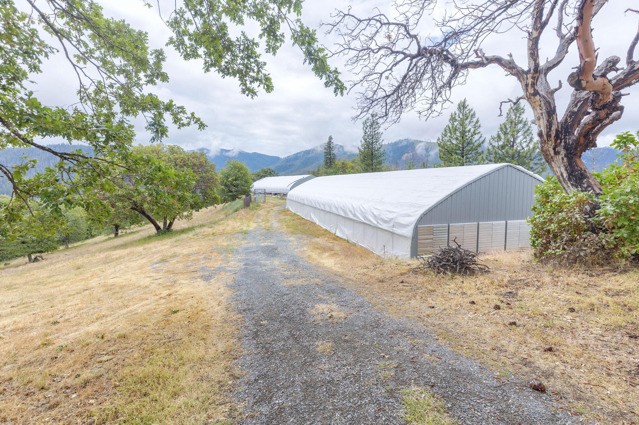 9595 Sterling Creek Road Jacksonville, OR 97530 - Photo 47 of 76 a view of a house with a yard