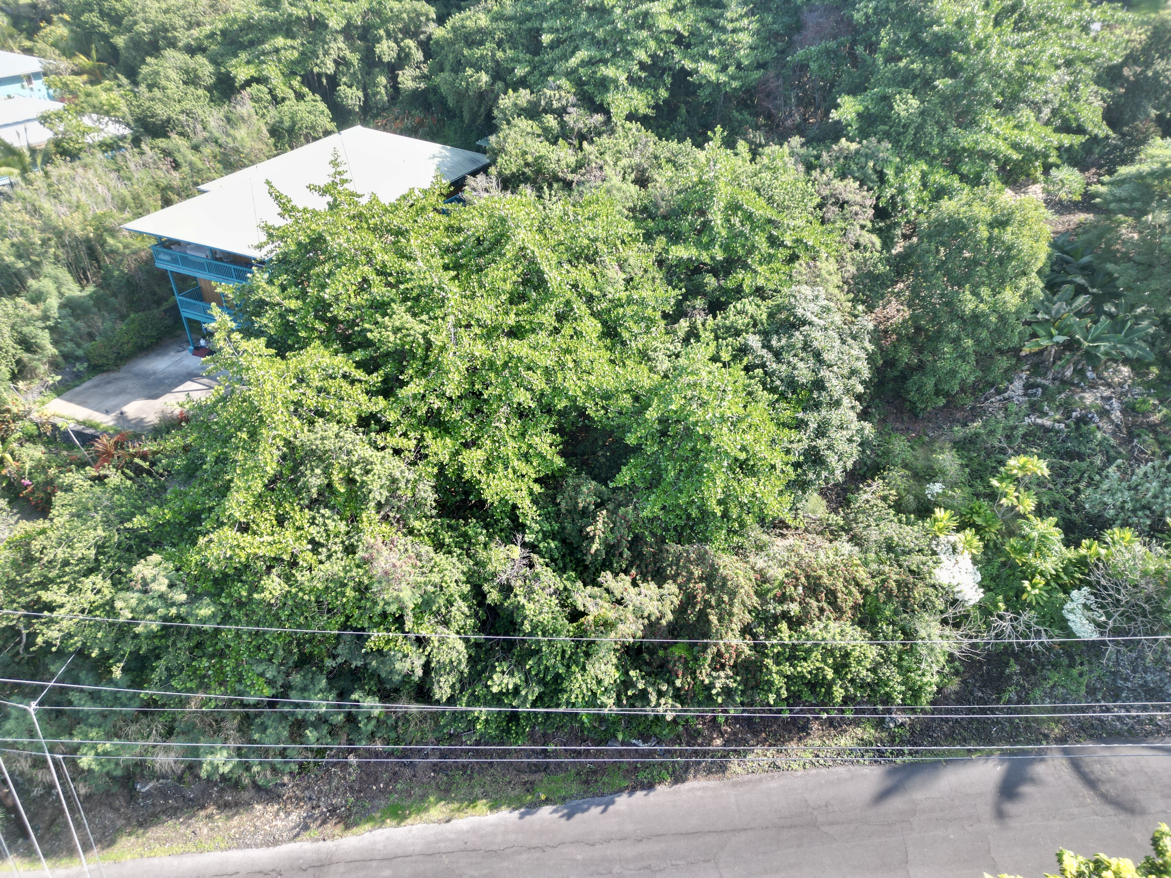 12 Kaohe Road Captain Cook, HI 96704 - Photo 11 of 12 a view of a lake with a tree