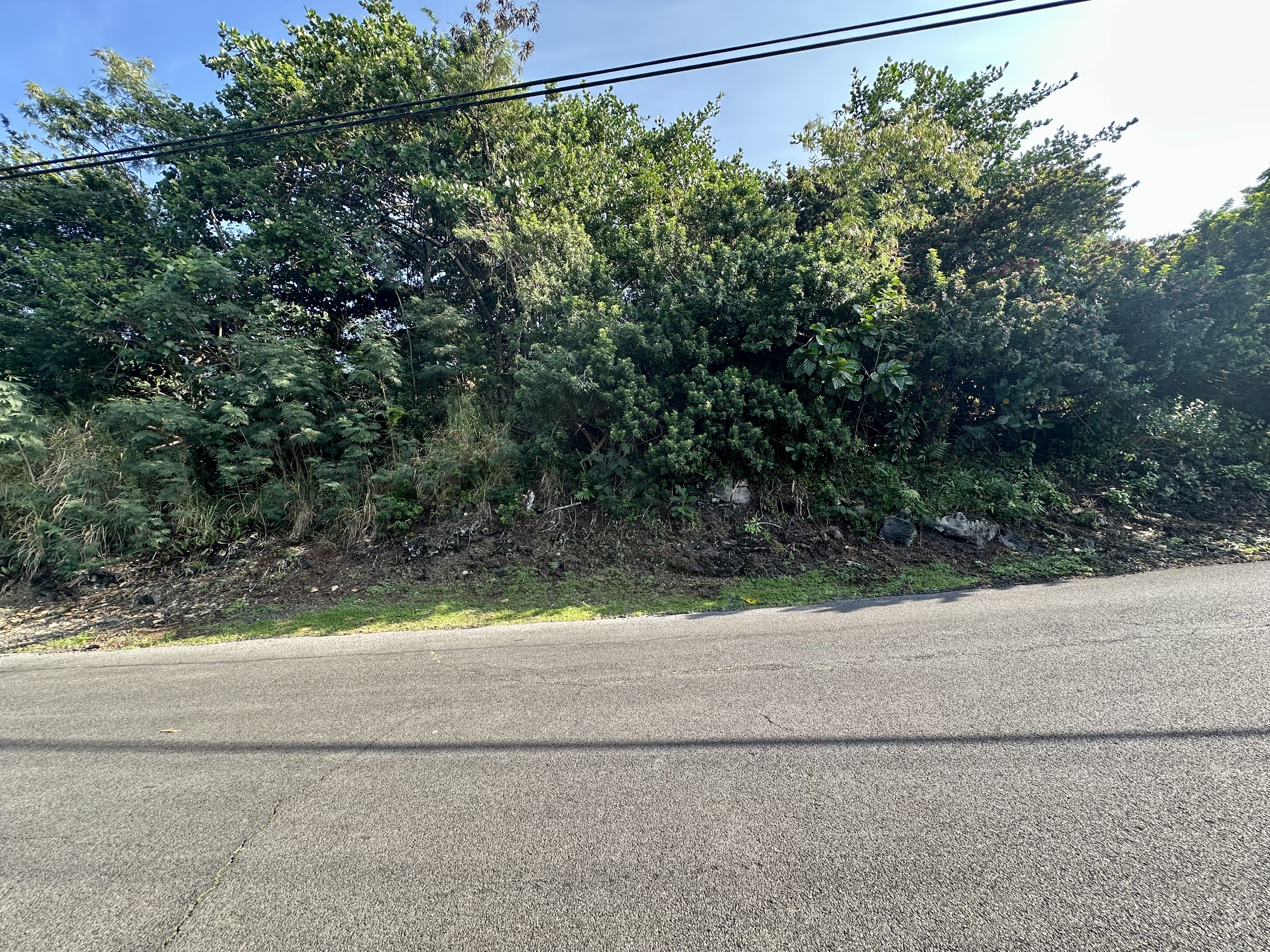 12 Kaohe Road Captain Cook, HI 96704 - Photo 2 of 12 a view of a yard and a road