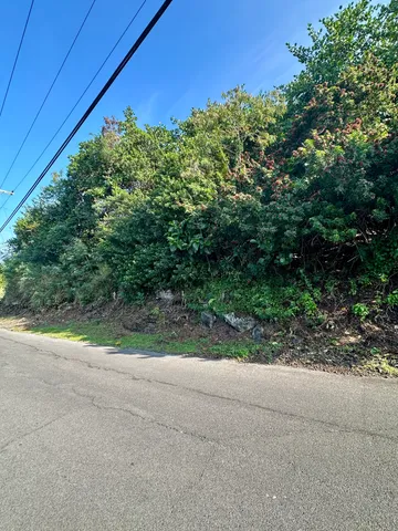a view of a yard along a street