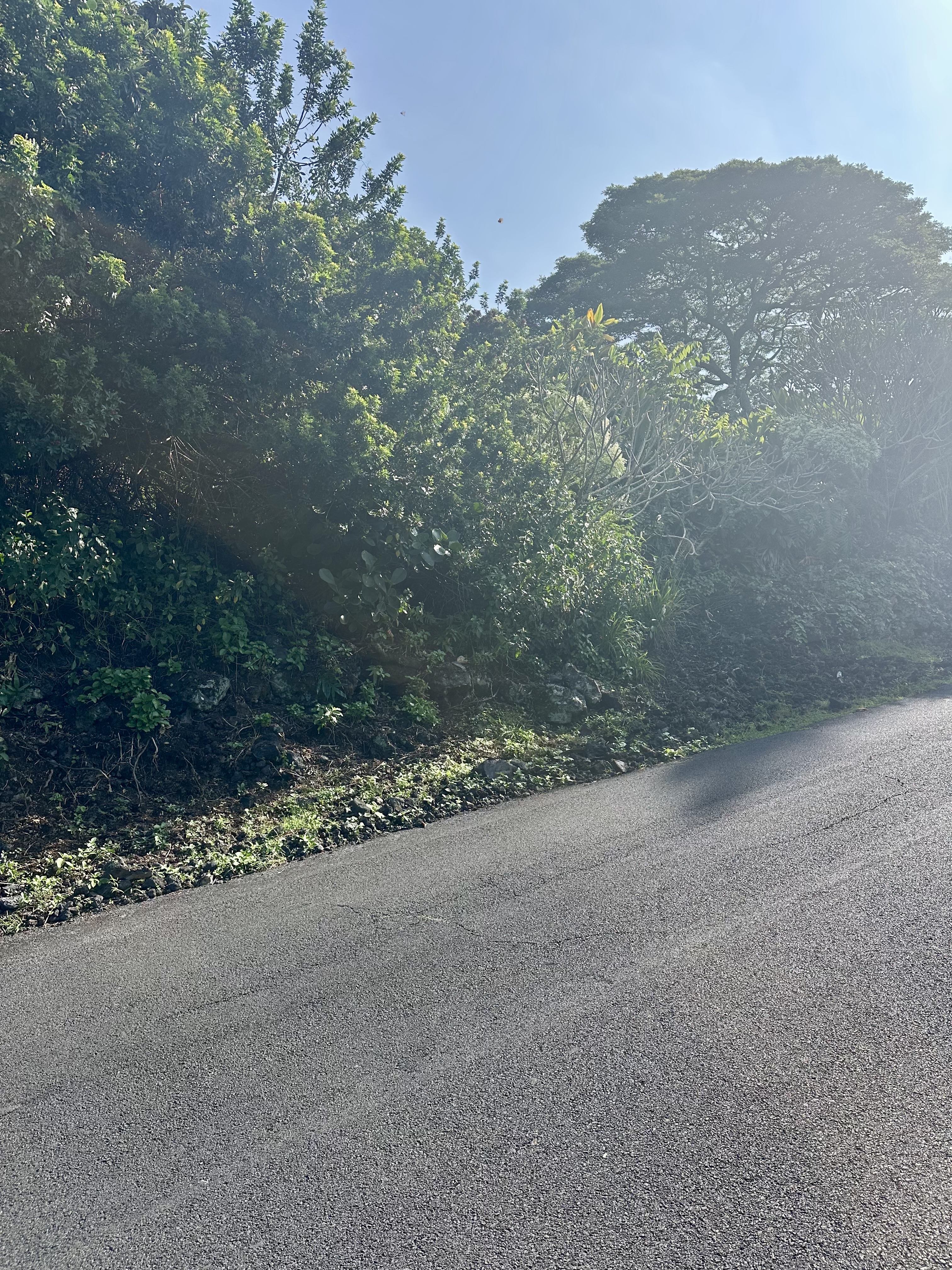 12 Kaohe Road Captain Cook, HI 96704 - Photo 6 of 12 a view of a rural road with a house in the background