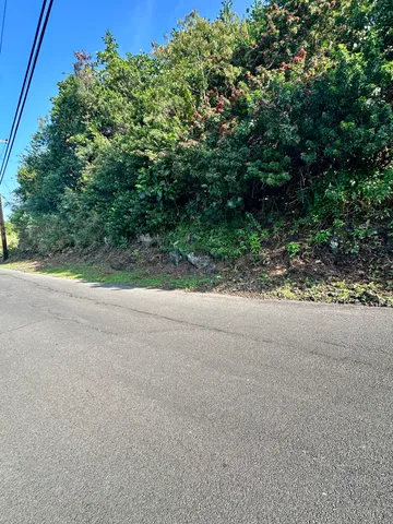 a view of a road with plants and trees in front of it