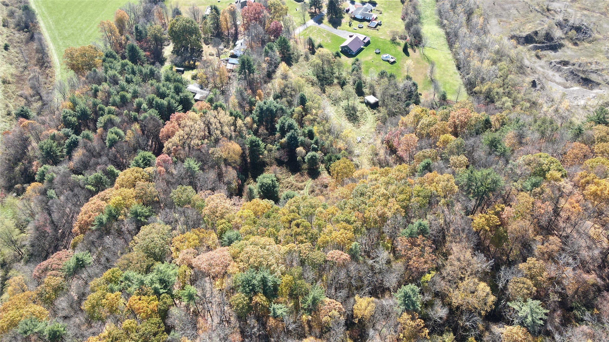 55 Watts Road Lisle, NY 13797 - Photo 7 of 13 Gallery Image 7