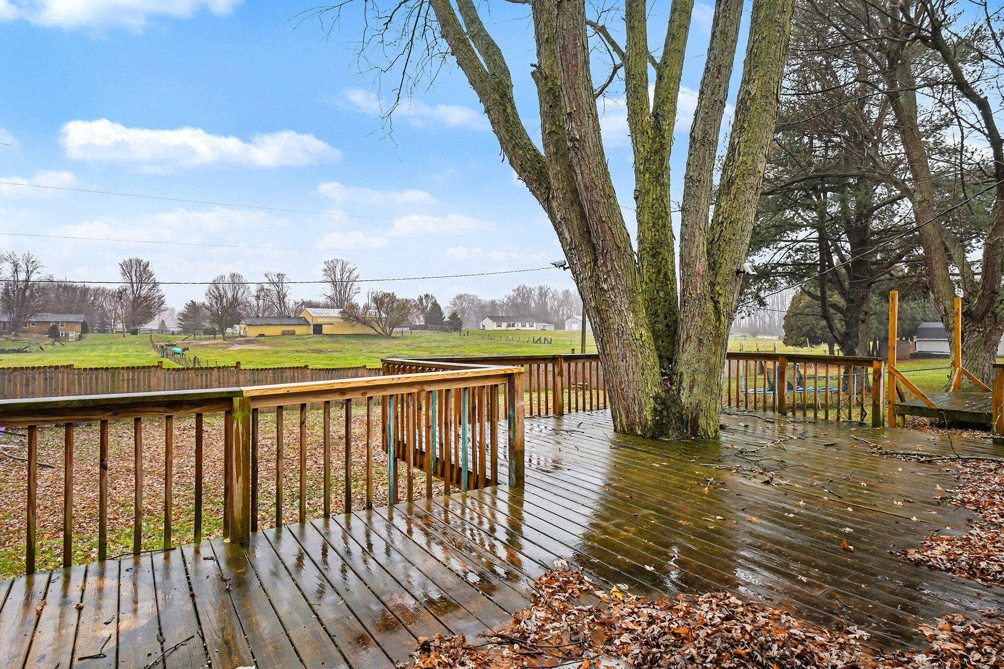 15765 Mason Street Union, MI 49130 - Photo 20 of 23 019_file_286