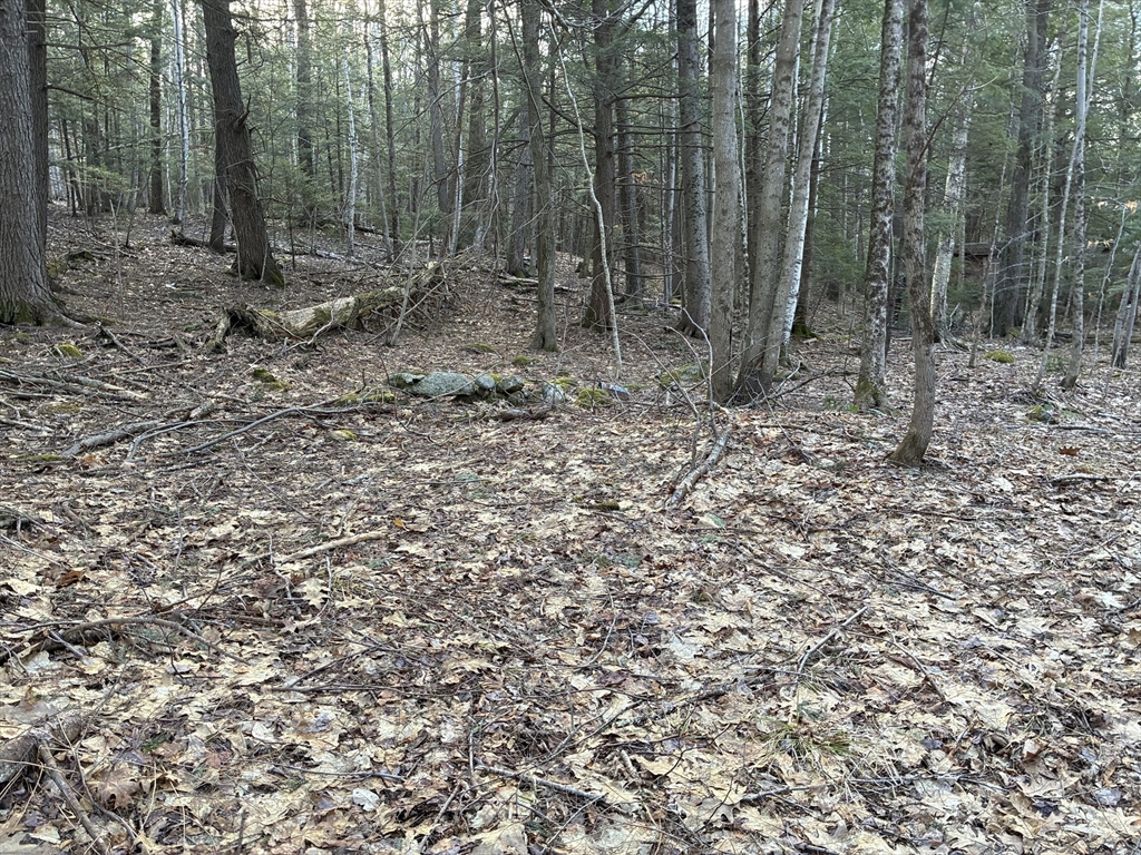 2 Leshures Road Rowe, MA 01367 - Photo 4 of 14