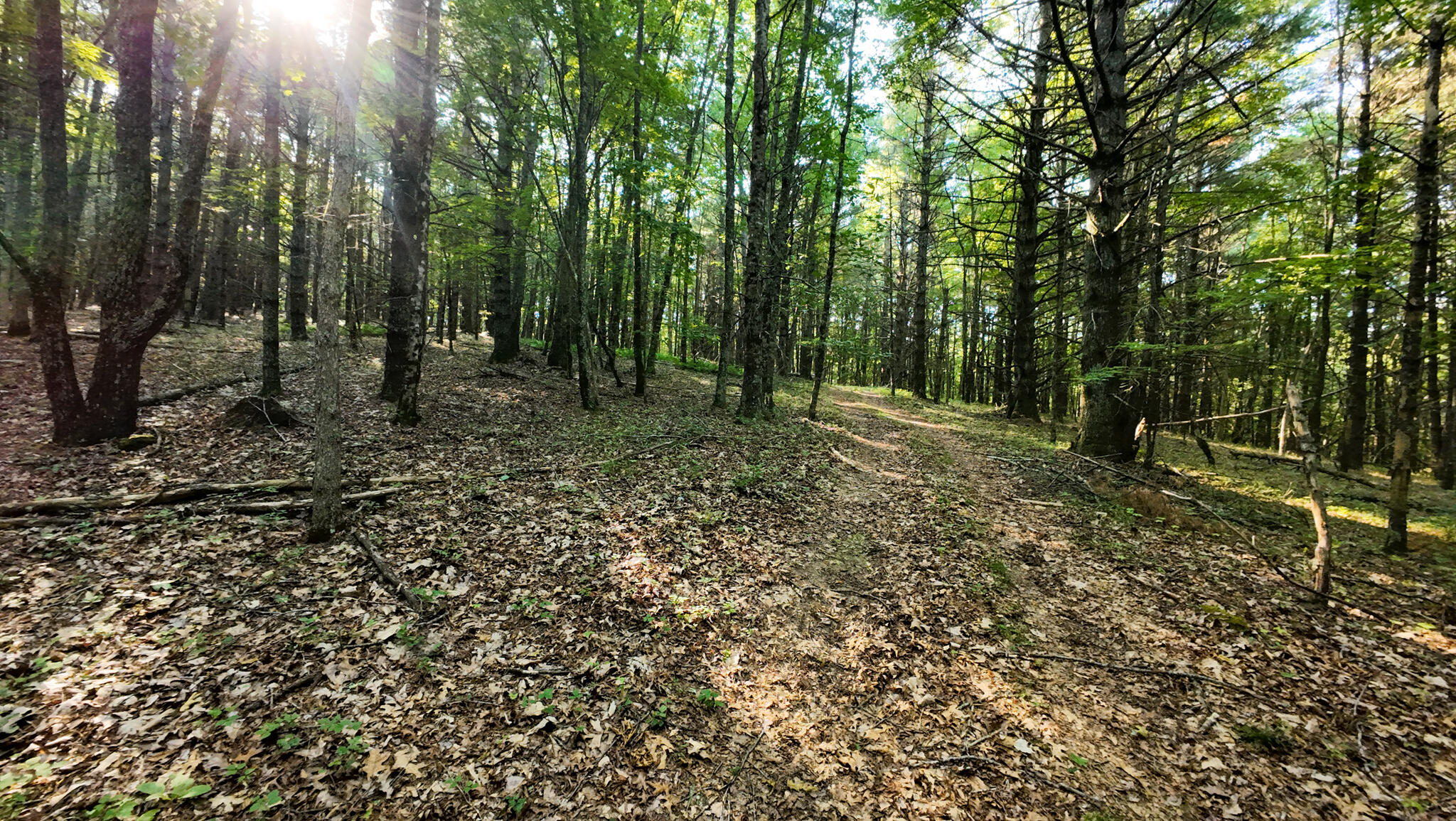 1 Merifield Road Northwest Willis, VA 24380 - Photo 11 of 16 Parcel 1-25