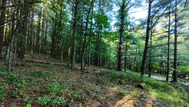 $186,500 | 1 Merifield Road Northwest, Willis, VA 24380