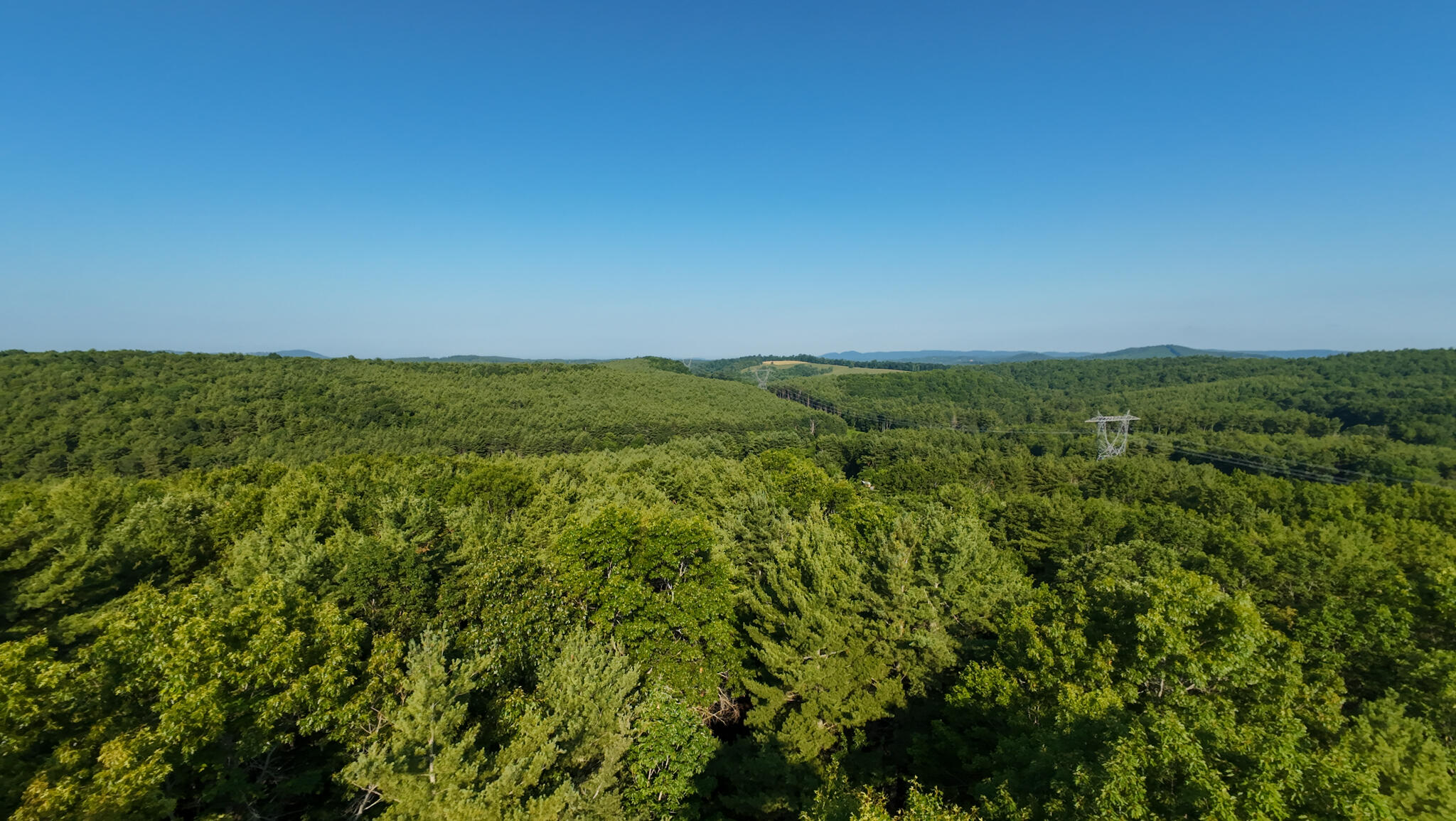1 Merifield Road Northwest Willis, VA 24380 - Photo 2 of 16 Parcel 1-20