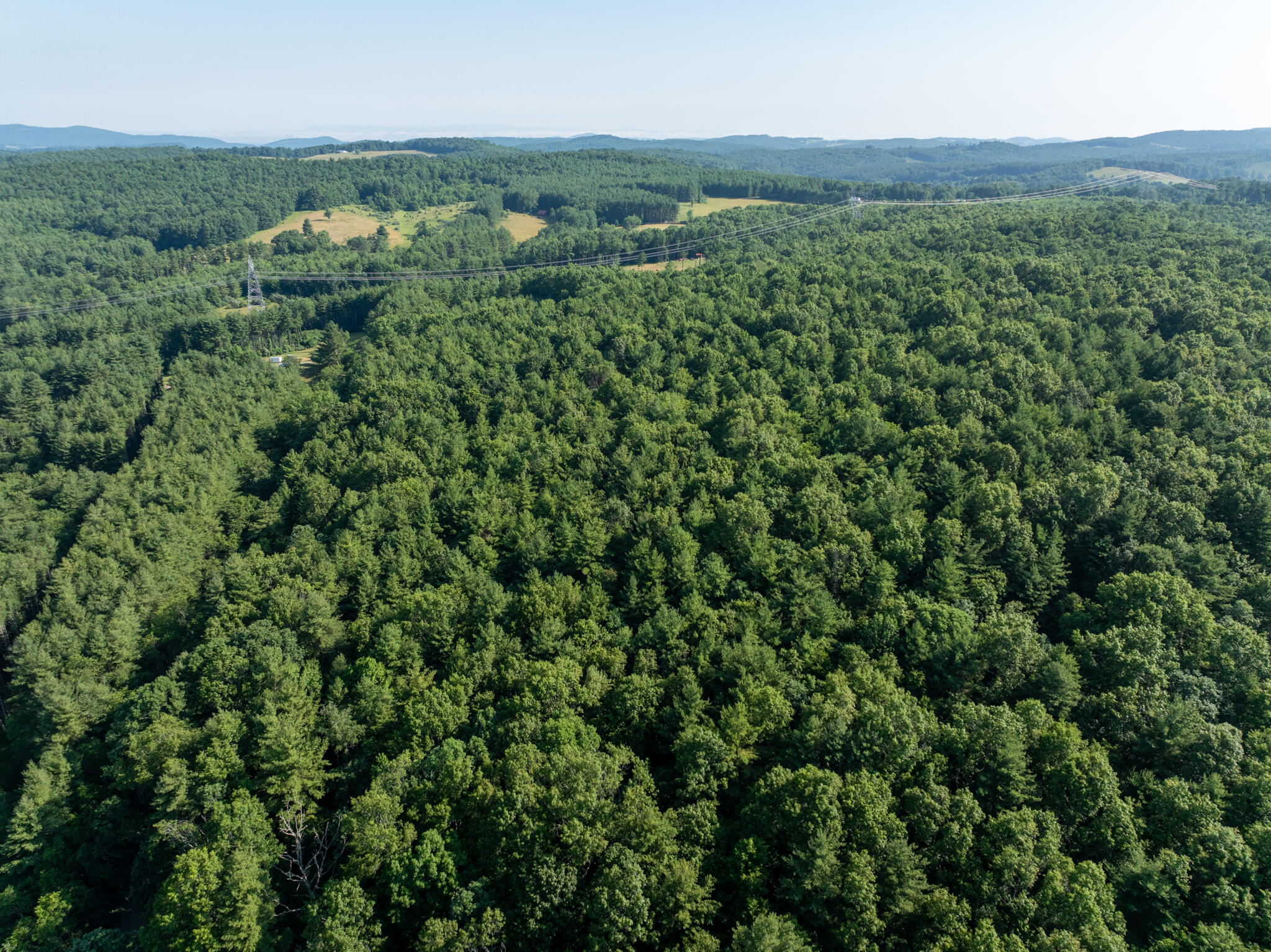 1 Merifield Road Northwest Willis, VA 24380 - Photo 3 of 16 Merifield parcel 2