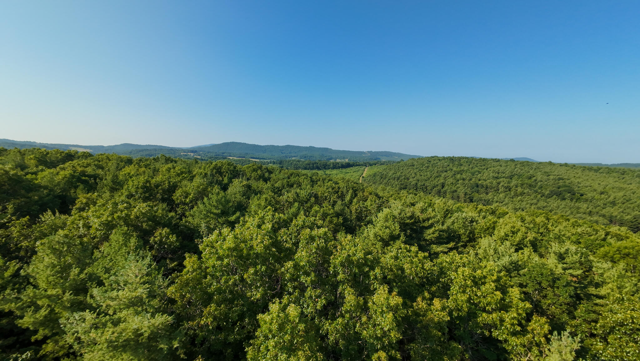 1 Merifield Road Northwest Willis, VA 24380 - Photo 4 of 16 Parcel 1-21