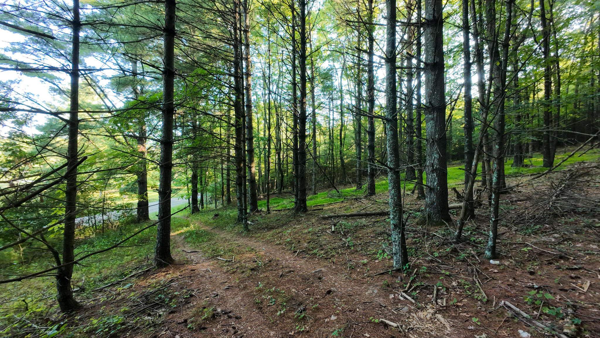 1 Merifield Road Northwest Willis, VA 24380 - Photo 6 of 16 Parcel 1-26