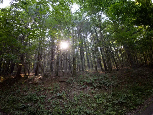 $186,500 | 1 Merifield Road Northwest, Willis, VA 24380