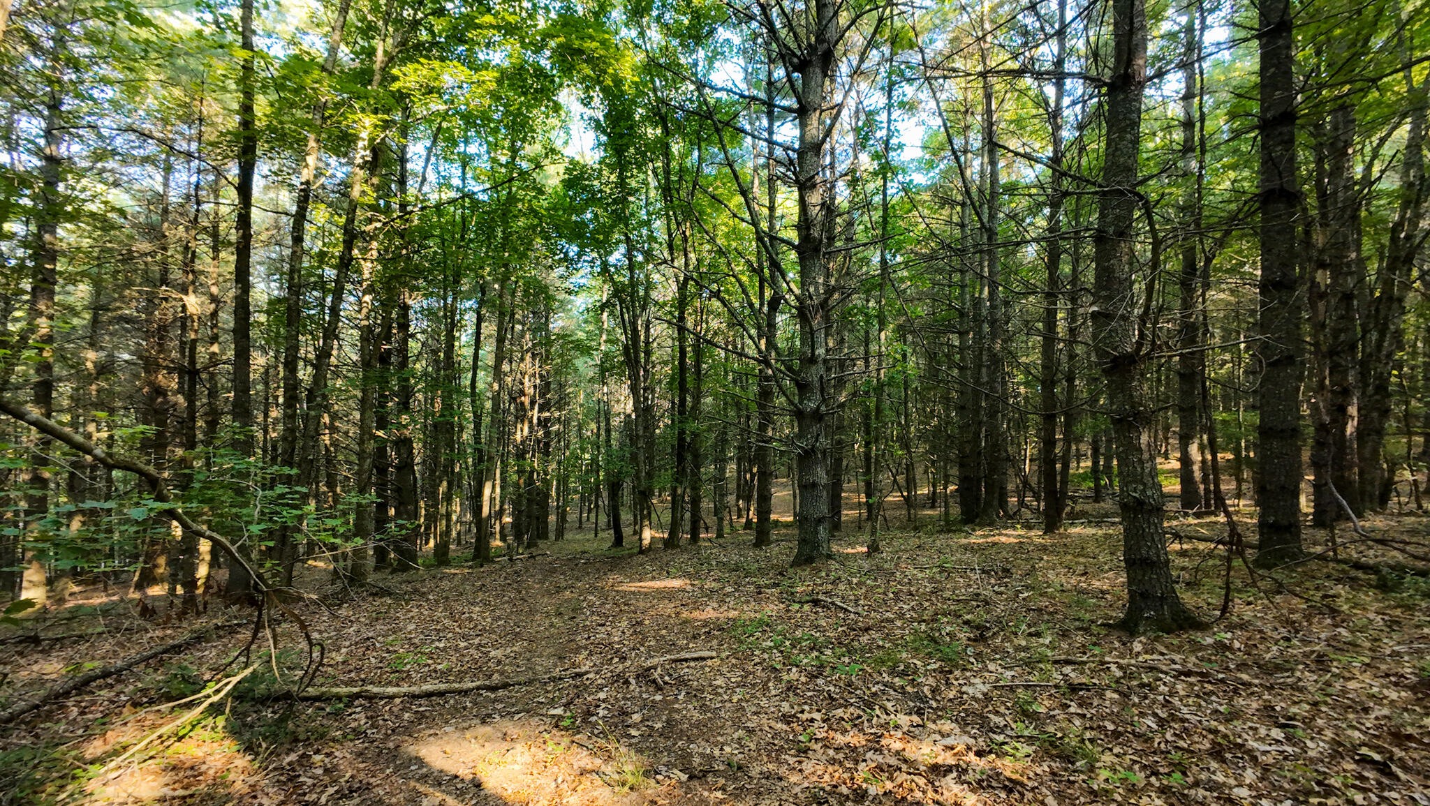 1 Merifield Road Northwest Willis, VA 24380 - Photo 10 of 16 Parcel 1-24