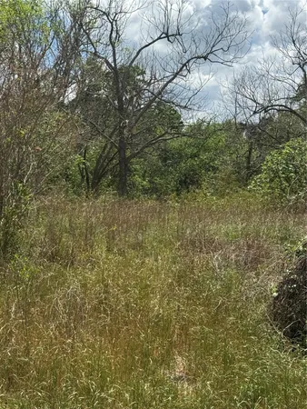 a view of a yard with a tree