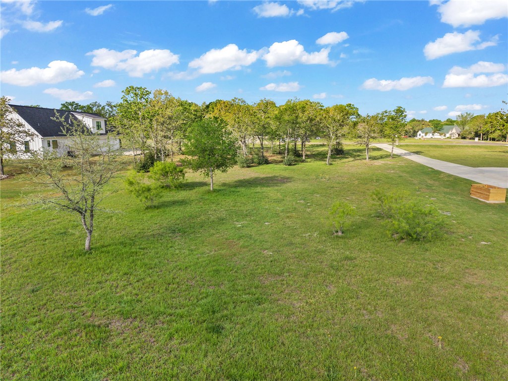 6428 Juliette Trail Bryan, TX 77808 - Photo 9 of 13