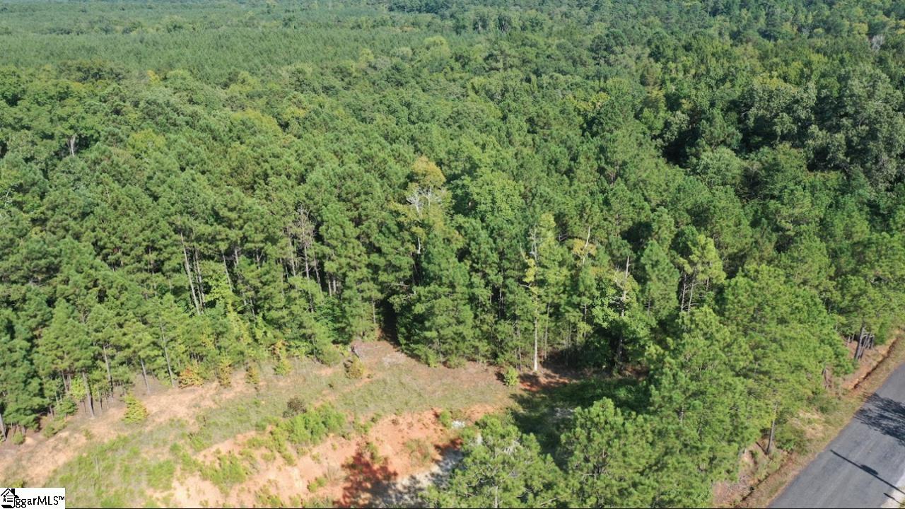 0 Point Lookout Road Cross Hill, SC 29332 - Photo 2 of 7 Gallery Image 2