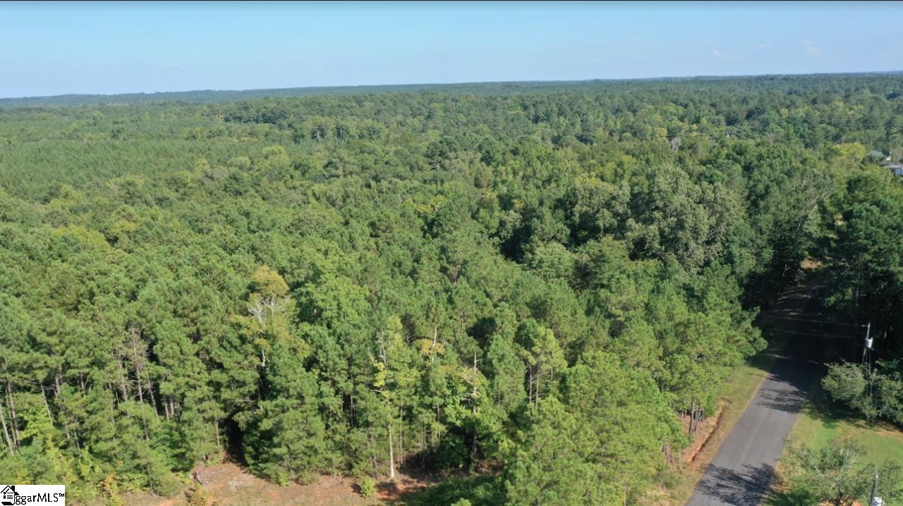 0 Point Lookout Road Cross Hill, SC 29332 - Photo 3 of 7 Gallery Image 3